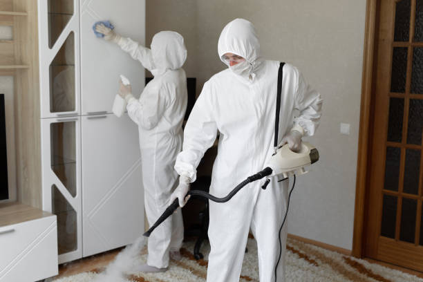Trusted Sewage Cleanup service in Oak Hill, OH - Four Month Blood Cleanse